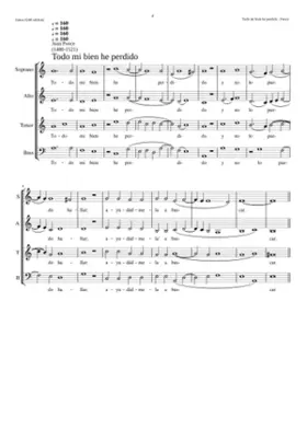 Todo mi bien he perdido