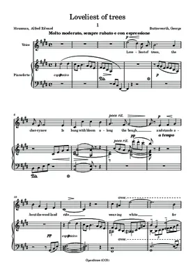 Loveliest of trees, the Cherry now