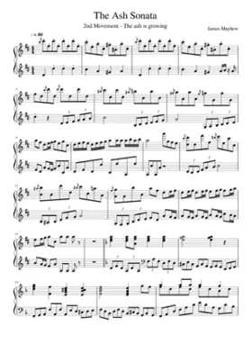 The Ash Sonata 2nd Movement