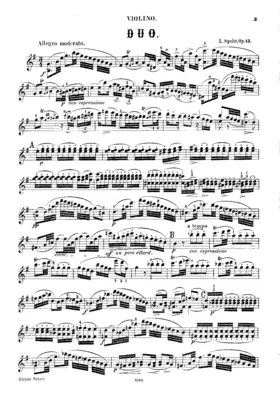 Duet for Violin and Viola
