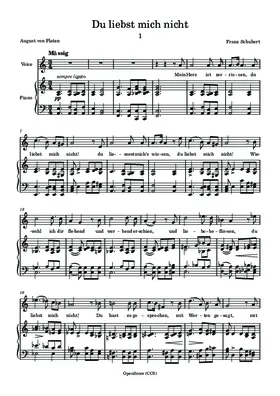 Du liebst mich nicht