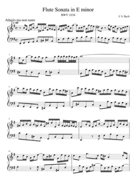 Flute Sonata in E minor BWV 1034