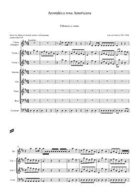 Aromática rosa Americana