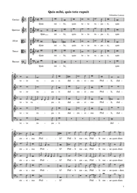 Quis mihi, quis tete rapuit