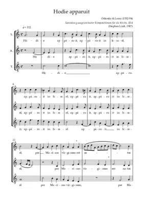 Hodie apparuit in Israel