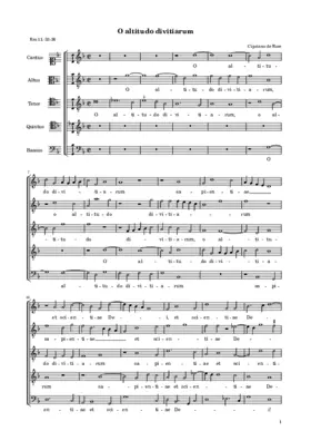 O altitudo divitiarum