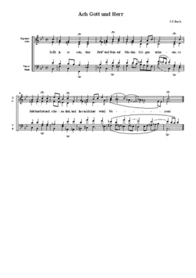 Ich elender Mensch, wer wird mich erlösen, BWV 48