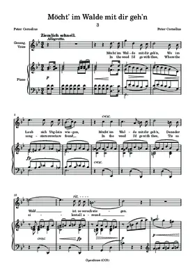 Möcht’ im Walde mit dir geh’n