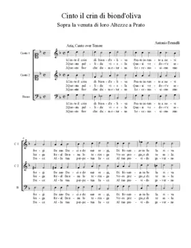 Cinto il crin di biond'oliva