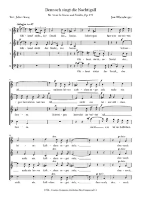 In Sturm und Frieden, Op. 170