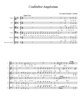 Confitebor Angelorum