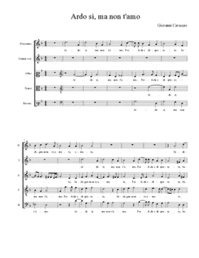 Ardo sì, ma non t'amo
