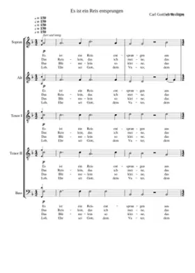 Es ist ein Reis entsprungen