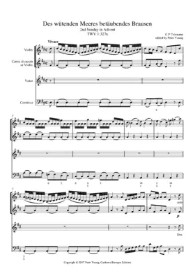 Des wütenden Meeres betäubendes Brausen