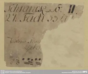 Chamber Concerto in D major