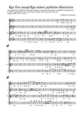 Ego flos campi - Ego mater pulchrae dilectionis