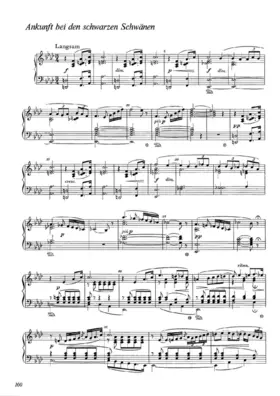 Ankunft bei den schwarzen Schwänen