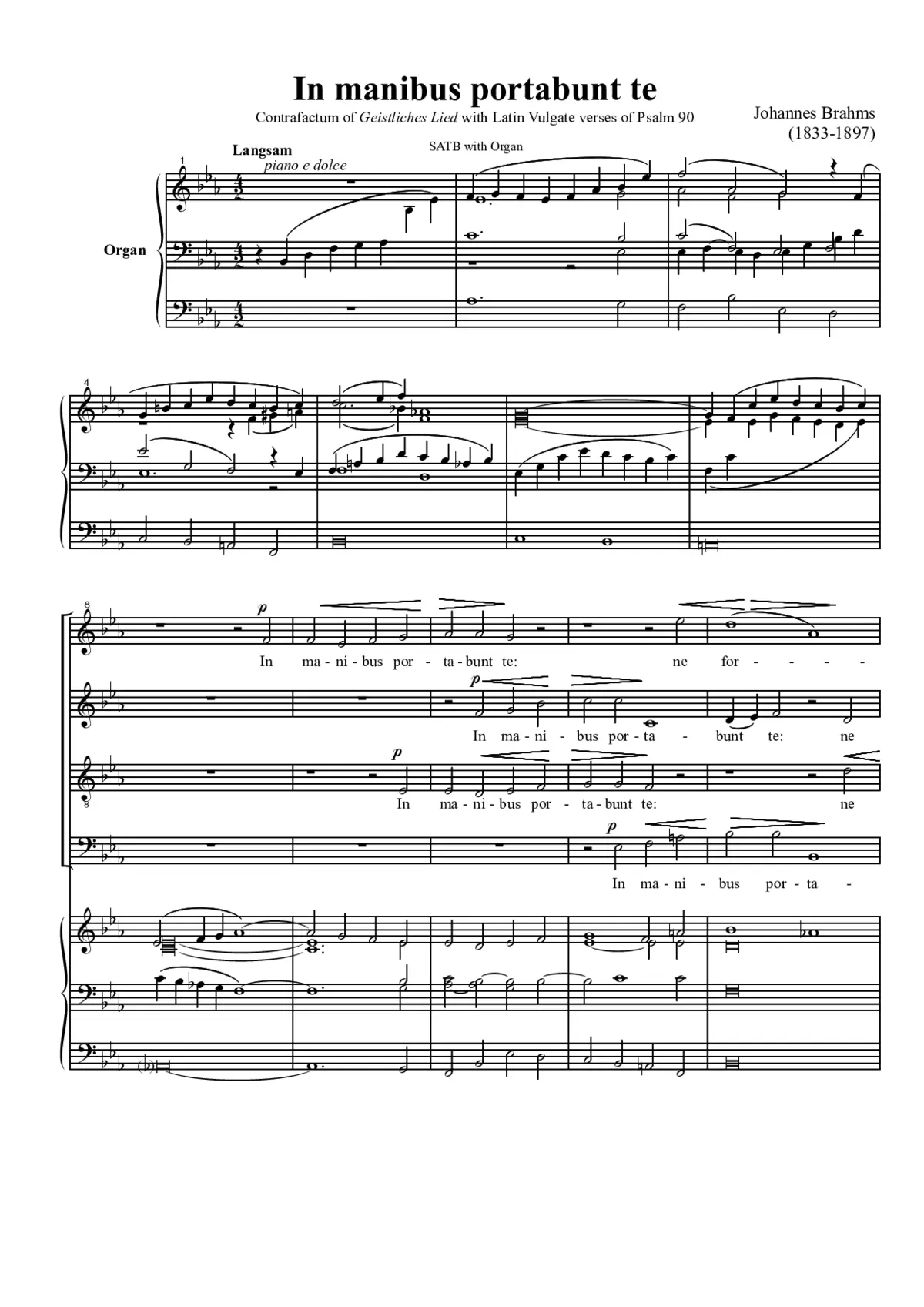 In manibus portabunt te - Page 1