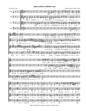 Quasi cedrus exaltata sum