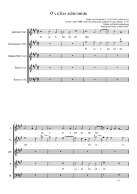 O caritas admiranda