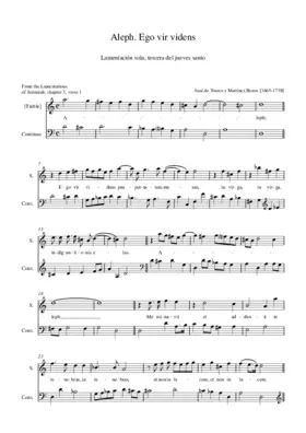 Aleph. Ego vir videns