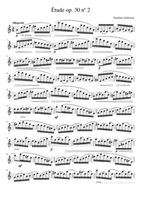 24 Etudes for Flute Op.30