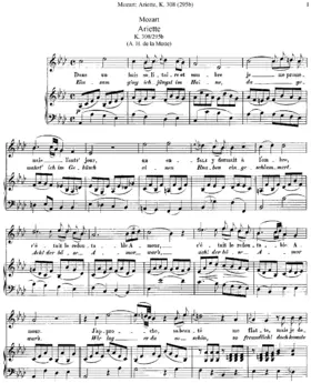 Dans un bois solitaire