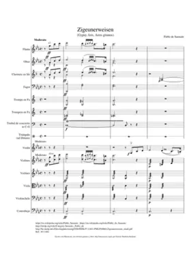 Zigeunerweisen Op.20