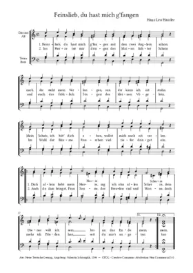 Feinslieb, du hast mich g'fangen