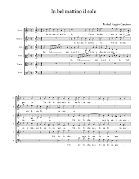 In bel mattino il sole