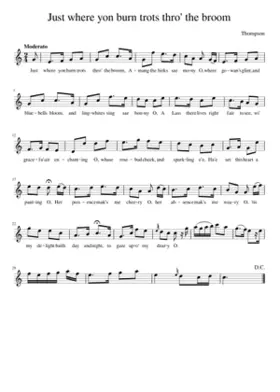 Just where yon burn trots thro' the broom