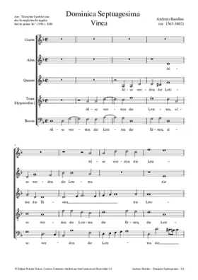 Also werden die Letzten die Ersten