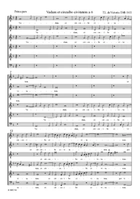 Vadam et circuibo civitatem a 6