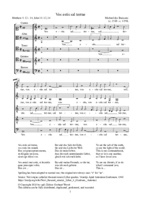 Vos estis sal terrae