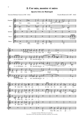 Cor mio, mentre vi miro