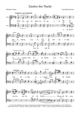Zauber der Nacht