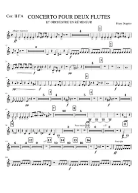 COR2FA. CONCERTO 2 FLUTES