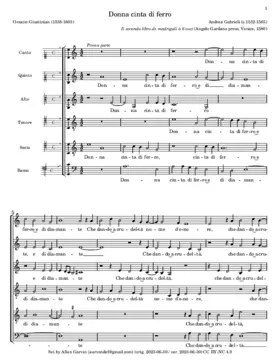 Donna cinta di ferro