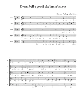 Donna bell'e gentil che'l nom'havete