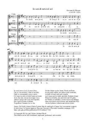 Io son di neve al sol