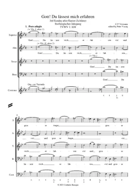 Gott! Du lässest mich erfahren