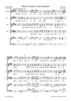 There is beauty on the mountain