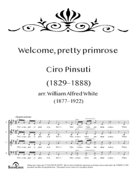 Welcome, pretty primrose