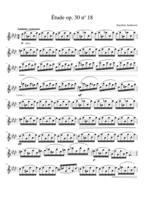 24 Etudes for Flute Op.30