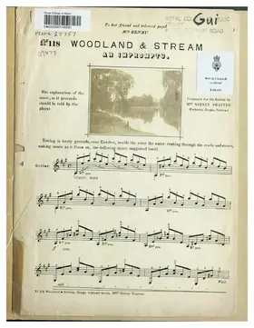 Woodland and Stream