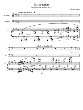 Die Frau ohne Schatten Op.65