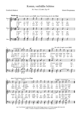 Komm, verhüllte Schöne