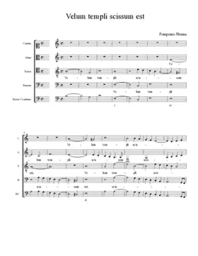 Velum templi scissum est