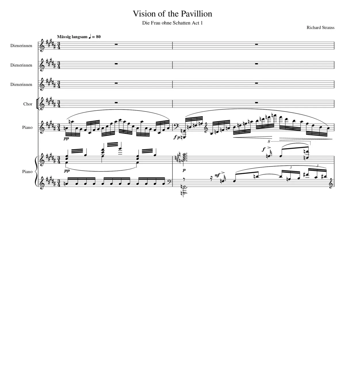 Die Frau ohne Schatten Op.65 - Page 1