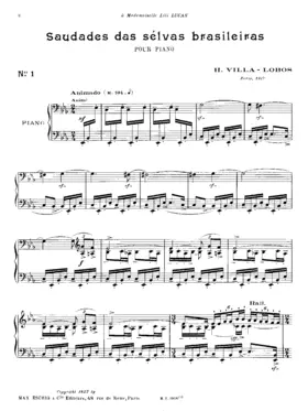 Saudades das selvas brasileiras